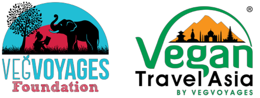 VegVoyages Foundation